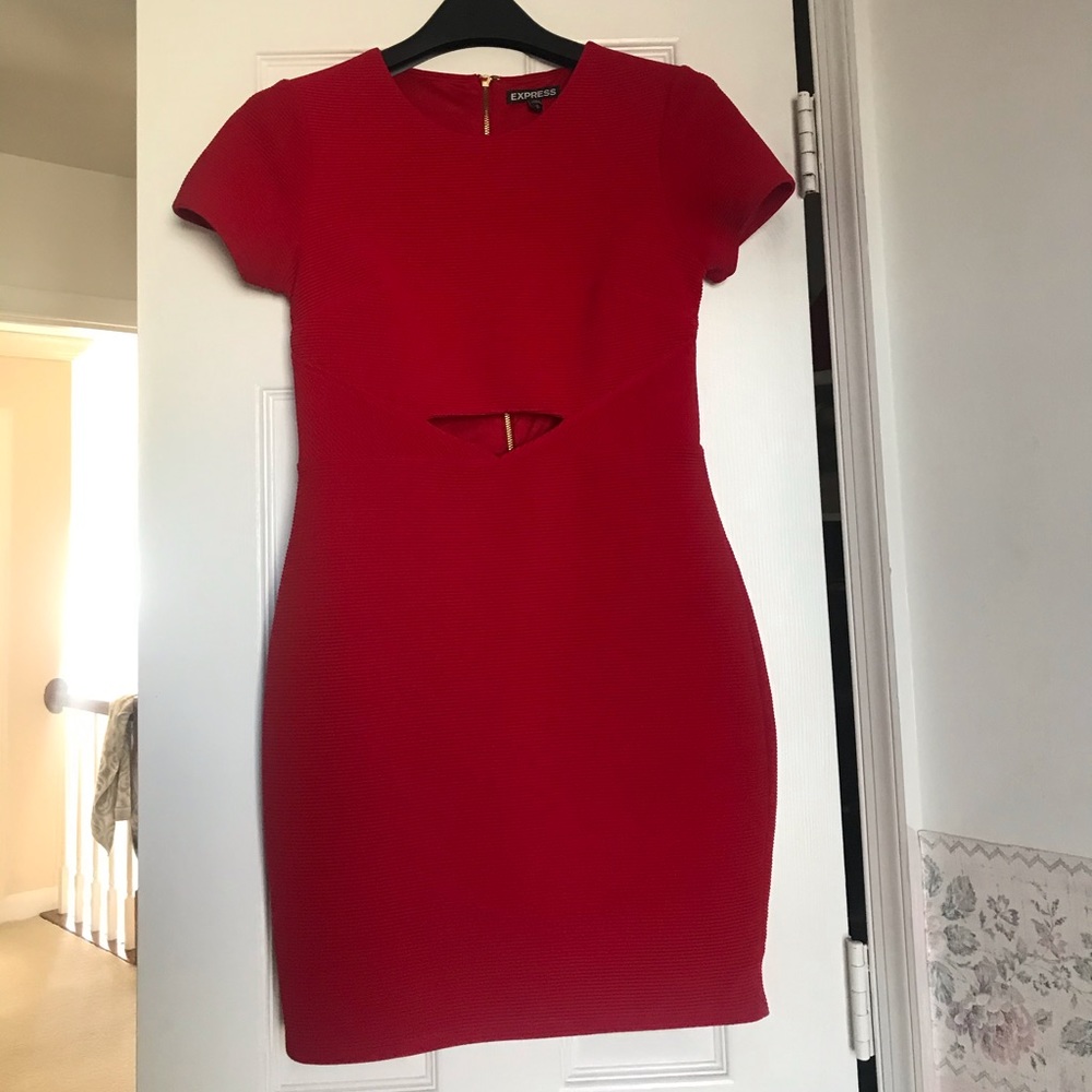 Express body con dress